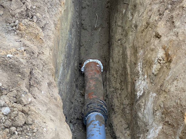 Best Flood damage cleanup  in Rantoul, IL