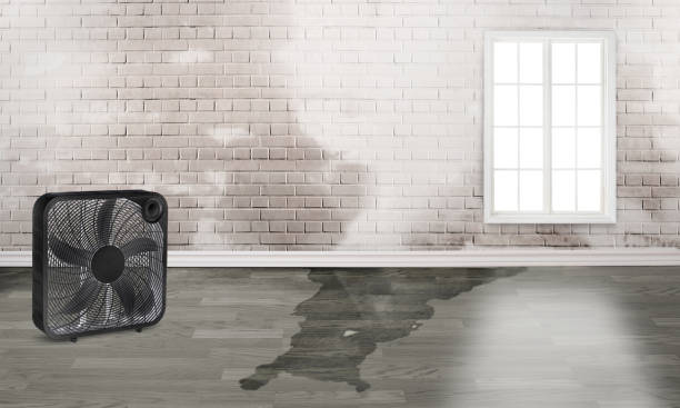 Sewage cleanup and water damage restoration in Rantoul, IL