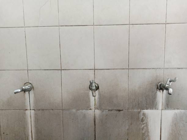 Best Basement water damage restoration  in Rantoul, IL