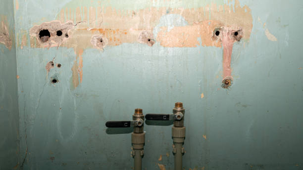 Best 24/7 water damage repair  in Rantoul, IL