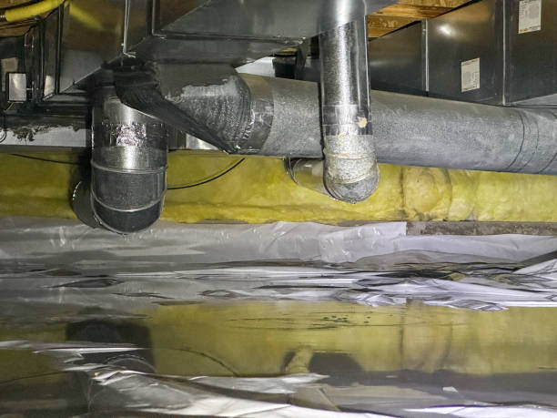 Best Mold removal after water damage  in Rantoul, IL
