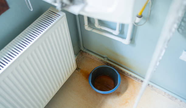 Water damage restoration mold remediation in Rantoul, IL