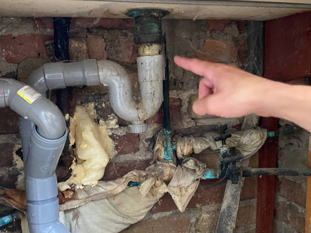Trusted Rantoul, IL Water damage restoration Experts