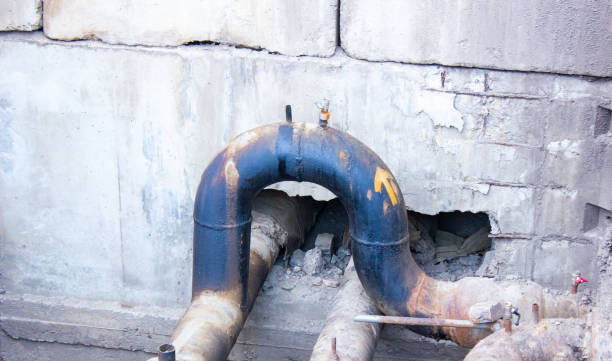 Best Flood restoration services  in Rantoul, IL